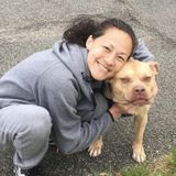 Dog walker and pet sitter in Germantown, MD!