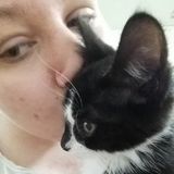 Pet Sitter, Dog Walker for the Holidays! I'd love to watch and take care of your animals while you are away!