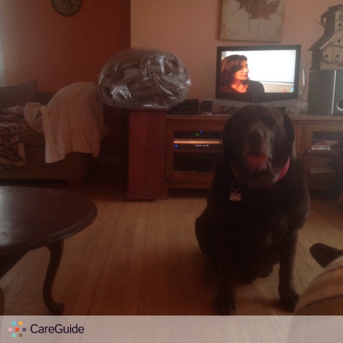 Pet Care Job Sabra Huber's Profile Picture