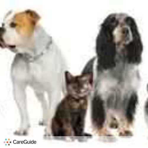 Pet Care Provider Chris W's Profile Picture