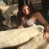 Interviewing For a Pet Sitter Job in Aventura