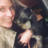 Looking For a Domestic Job in San Diego