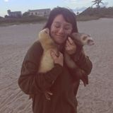 Seeking Merritt Island Pet Sitting Professional Opportunity