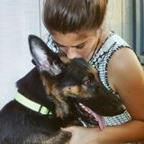Dog Walking/Sitting Available