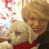 Honest Petsitter in Philadelphia, Pennsylvania