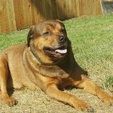 I love animals, respectfull and clean