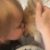 Flexible Pet Sitting/DogWalking Available Now!