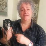 For Hire: Dog Walker (hourly rate), Overnight or Weekend Dog Hosting (45 per night)