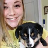 Animal lover looking for pet sitting opportunities