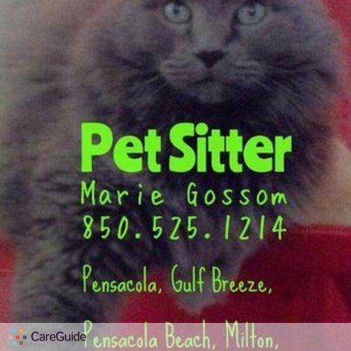 Pet Care Provider Marie Gossom's Profile Picture