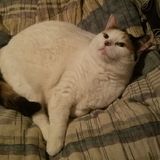 Huge animal lover with a big heart and passion for animals of any kind.
