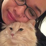 Winnipeg, Manitoba Caretaker