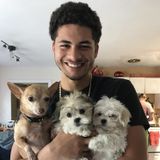 Available: Talented Petsitter in Altamonte Springs, Florida