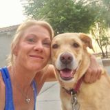 Waking up in the morning and really looking forward to walking my Bella and and loving on people's pets!