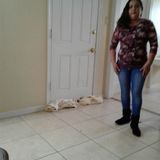 Available: Professional House Keeper in Amarillo, Texas