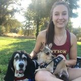 Passionate Pet Service Provider in Sacramento