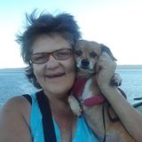 Common sense House Sitter