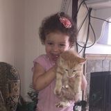Animal lover consistent Pet Carer in Hickory Hills, Illinois