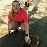 Fun Early Childhood Education Major Looking to Babysit