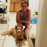 Trustworthy Pet Carer Available Immediately