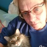 Pet Sitter in Winnebago to pamper your furbabies