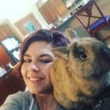 Trustworthy, hard working pet walker and sitter