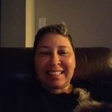 Available: Good House and Petsitter in Desoto
