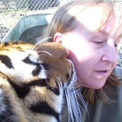Pet Care Provider Julie Matthes's Profile Picture