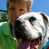 Lake Worth Fl. Reliable pet care, dog walker Home Sitter