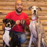 Interviewing For Salt Lake City Pet Sitter/Walker/Trainer