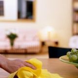 Shay's Cleaning and Organizing Service