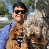 A highly experienced veterinary assistant and educator. I have 5+ years of veterinary, kennel, and sitting experience.