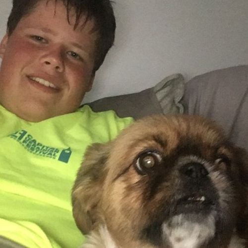 Pet Care Provider Philipp R's Profile Picture