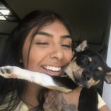 Hello my name is Gizele and I am offering dog walking and dog sitting services!
