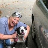 Reliable, experienced and compassionate Dog Walker