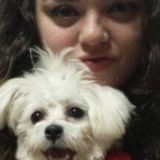 Hello pet owners!