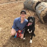 Dog/Cat Sitter Available