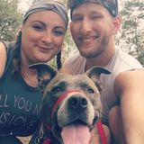 Dog care and Air bnb management