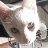 Pet Care For Any Pet!
