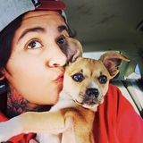 Dedicated Pet Care Provider for Your Home