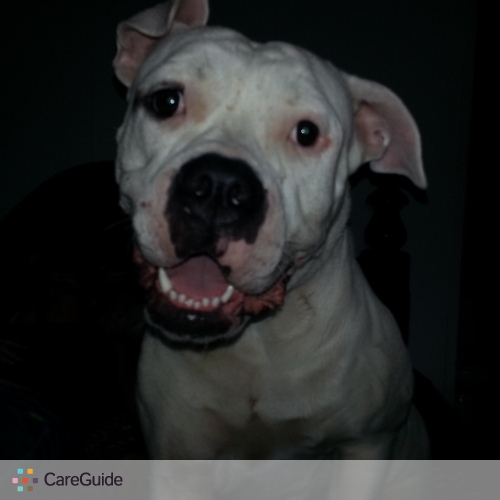 Pet Care Provider Summer Hartley's Profile Picture