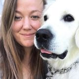 Hello! I offer walks, or simply just hang with you dogs for short periods of time. As well as stay overnight!