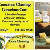 Experienced Efficient Exuberant Exquisite House Cleaning with an Artistic Flare