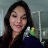Available Petsitter/Dog Walker/Overnight Care- Royal Palm Beach to Boca Raton