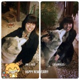 Cats, dogs, bunnies you name it! I'll pet sit any animal you want!