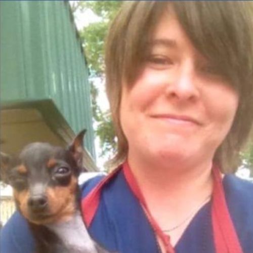 Pet Care Provider Arielle H's Profile Picture