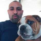Polite Pet Sitter in Covina, I Love Animals They Are Our Best Friends .