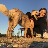Available: Skillful Dog Sitter in New Waverly
