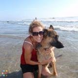 Semper Fi Dog Walking, Jogging and Sitting!