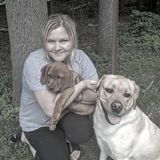 Looking for a sitter for my three dogs